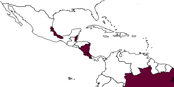 map of Bakeriella olmeca     Evans, 1964